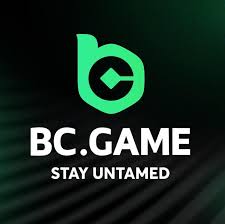 Maximize Your Winnings with BC.Game Bonus Offers